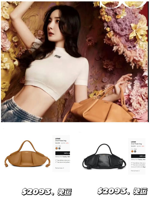 【罕见7折】【Loewe 饺子包】