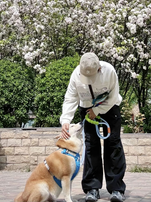 【Pata大促】Black Hole腰包，史低$23，免运！