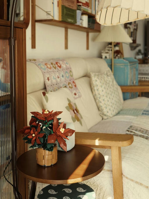 🌺【圣诞红盆栽】【只要 $29】