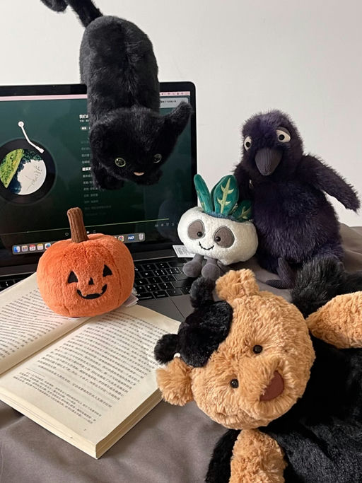 【【随时断】蜘蛛巴塞罗补货！