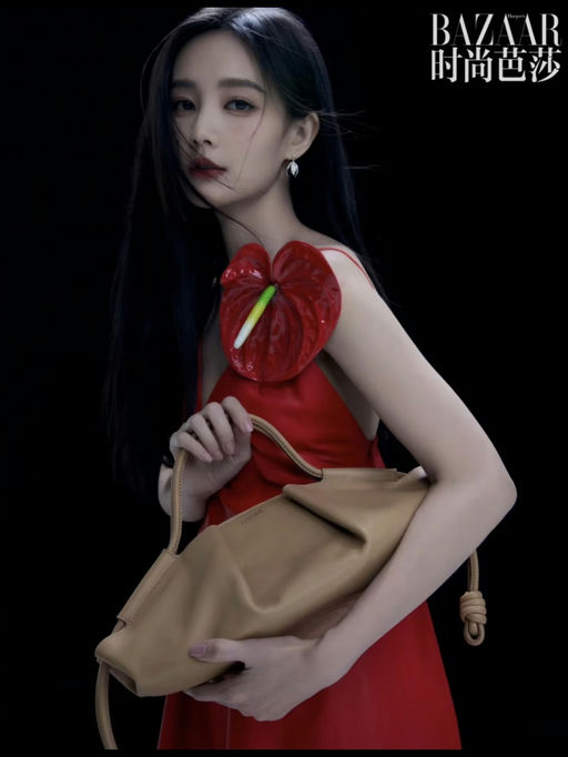 【罕见7折】【Loewe 饺子包】