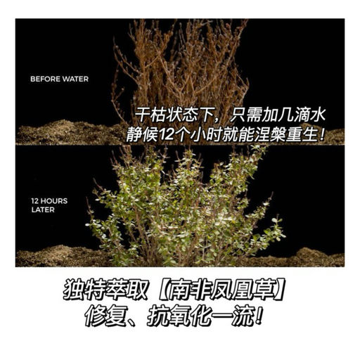 【招牌黑曜石】63折，买四送七～