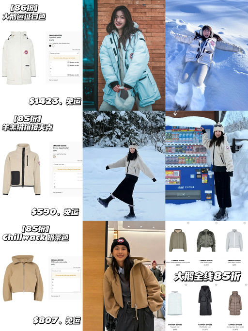 🪿【大鹅85折】【黑五都没有的折扣】