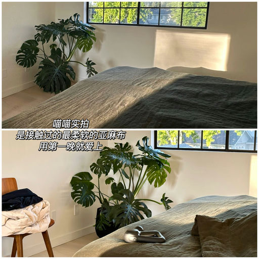 【好过黑五】附喵喵实拍