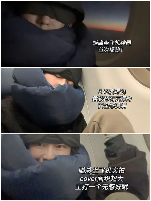 【全年唯一折扣】75折，喵喵旅行神器