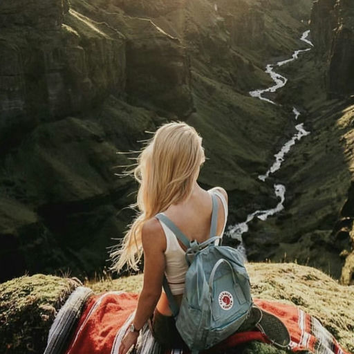 【7折回归】实用北极狐