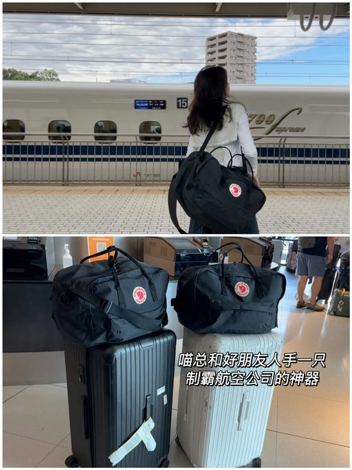 【有断货色！】喵总和好友人手一只