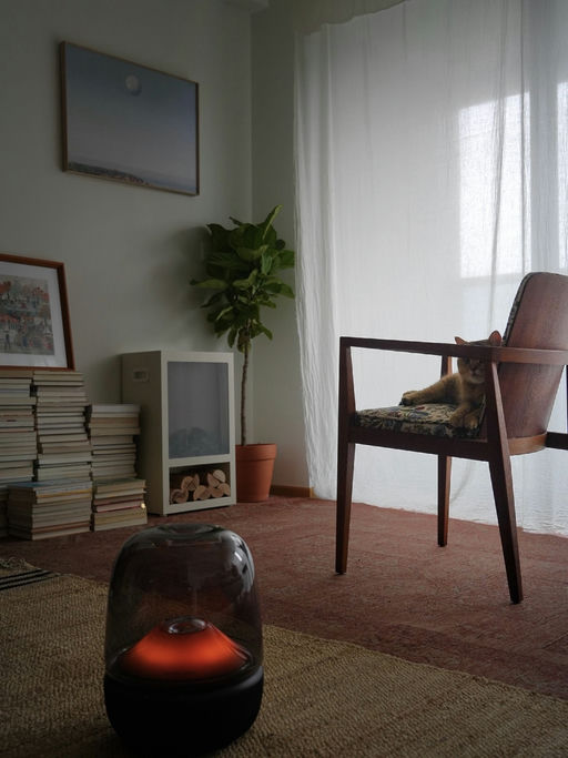 🎶【2折！】【不输 B&O】