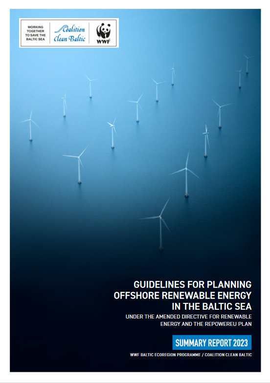 Guidelines for Planning Offshore Renewable Energy in the Baltic Sea (Summary Report)