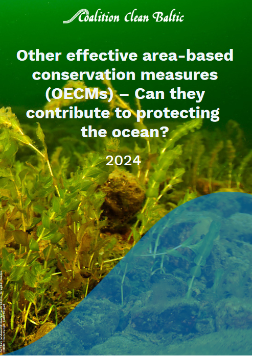 Other effective area-based conservation measures (OECMs) – Can they contribute to protecting the ocean?