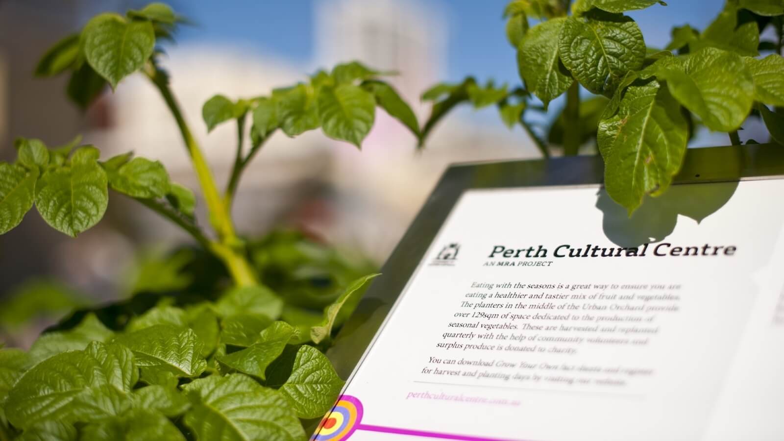 WA Urban Placemaking Destinations HF