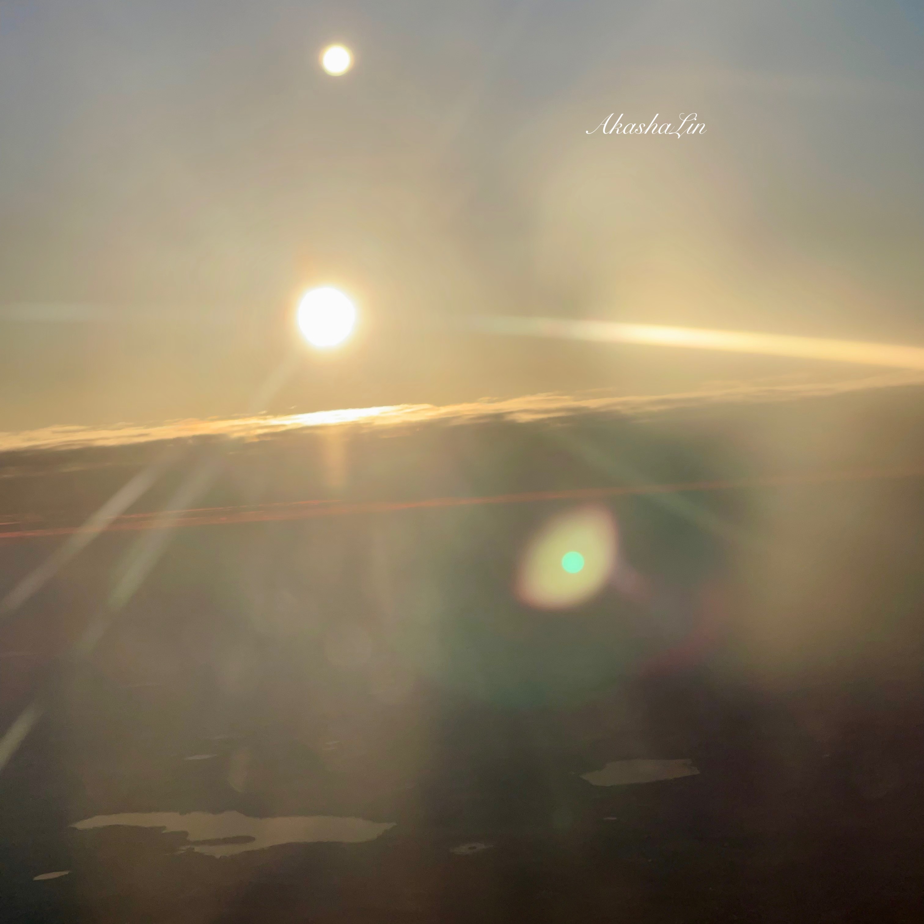 Brand trends on the horizon