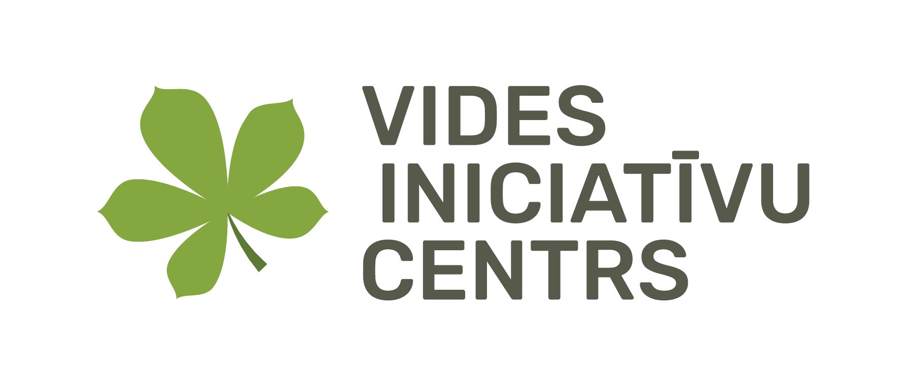 Center For Environmental Initiatives