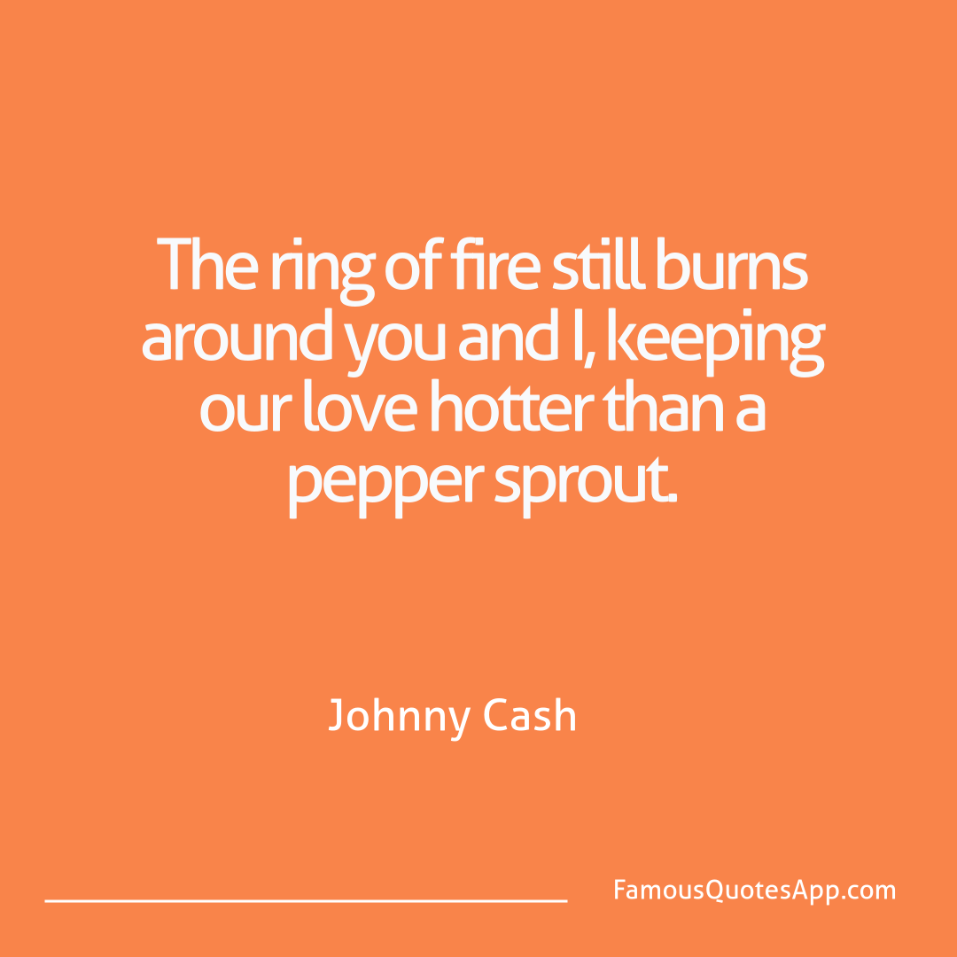 Love Johnny Cash The ring of fire sti