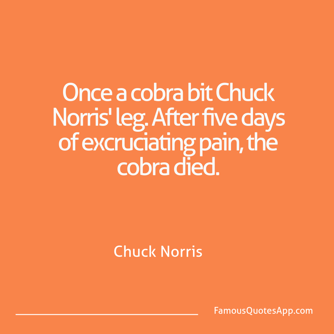 Chuck Norris Chuck Norris Once a cobra bit Chu