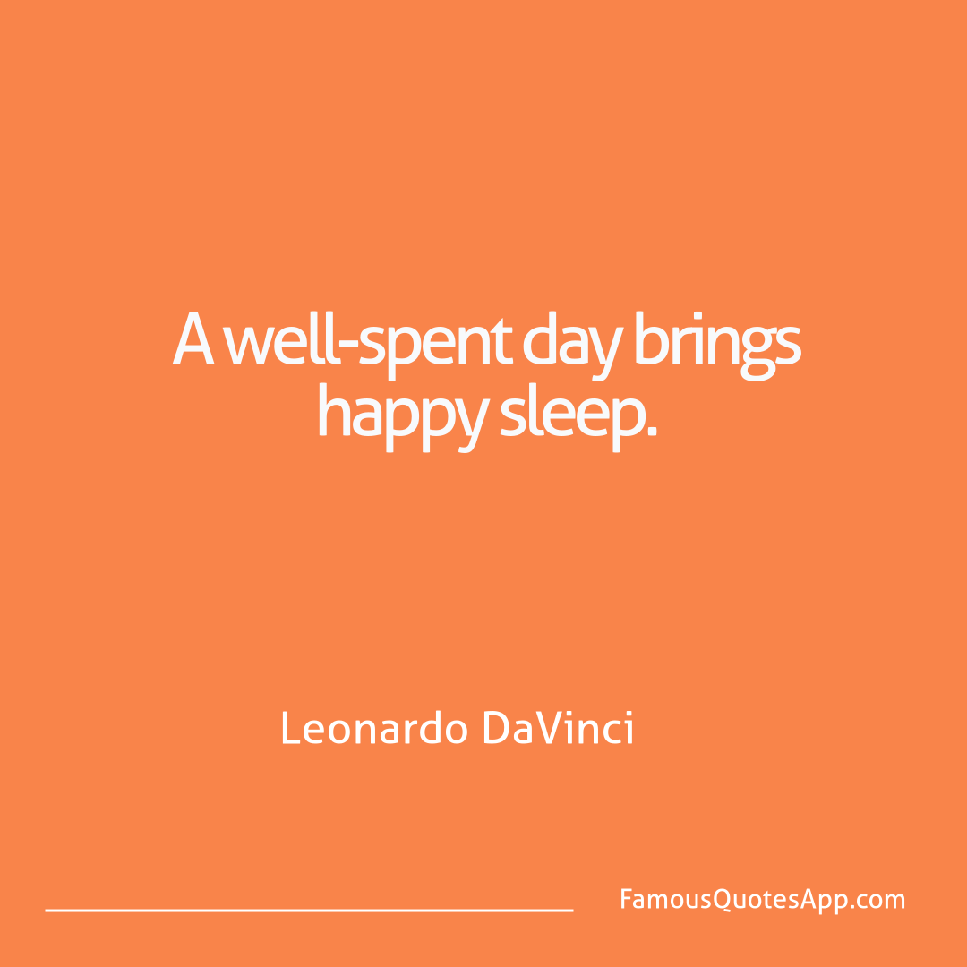 Wisdom Leonardo DaVinci A well-spent day bri