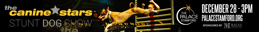 The Canine Stars coming to the Palace Theatre Stamford on December 28th.