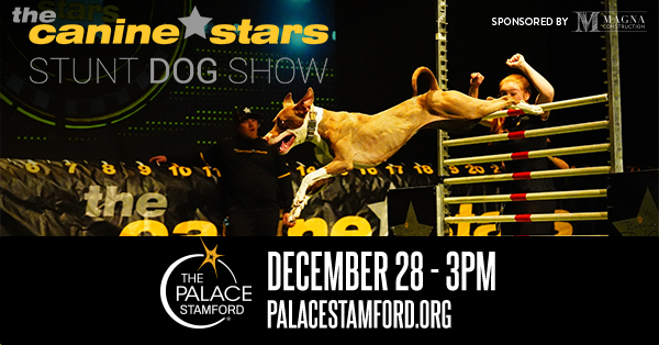 The Canine Stars coming to the Palace Theatre Stamford on December 28th.