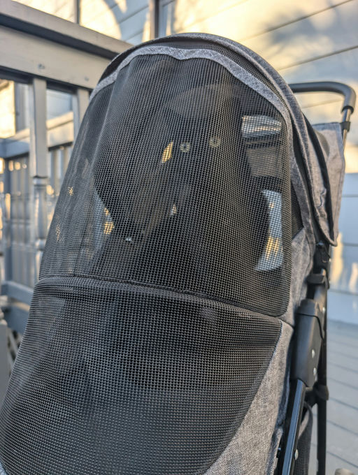 cats - Comet Image 16