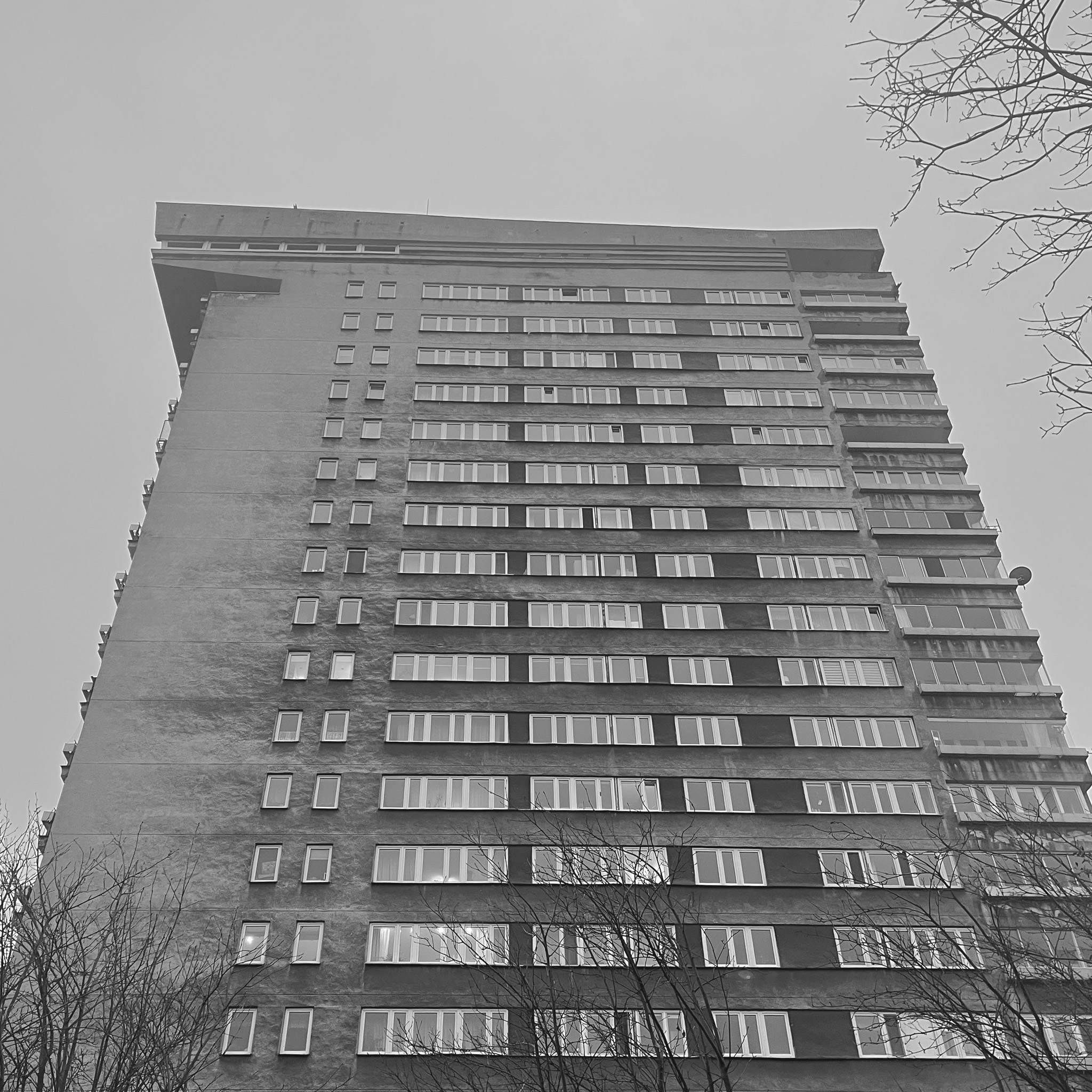 Młotek (The Hammer)