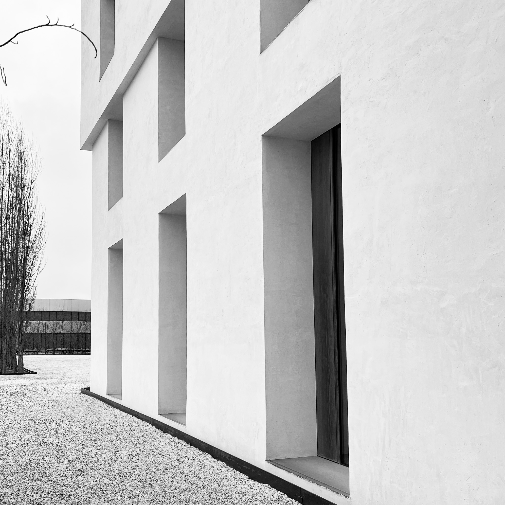 Baumschlager Eberle 2226