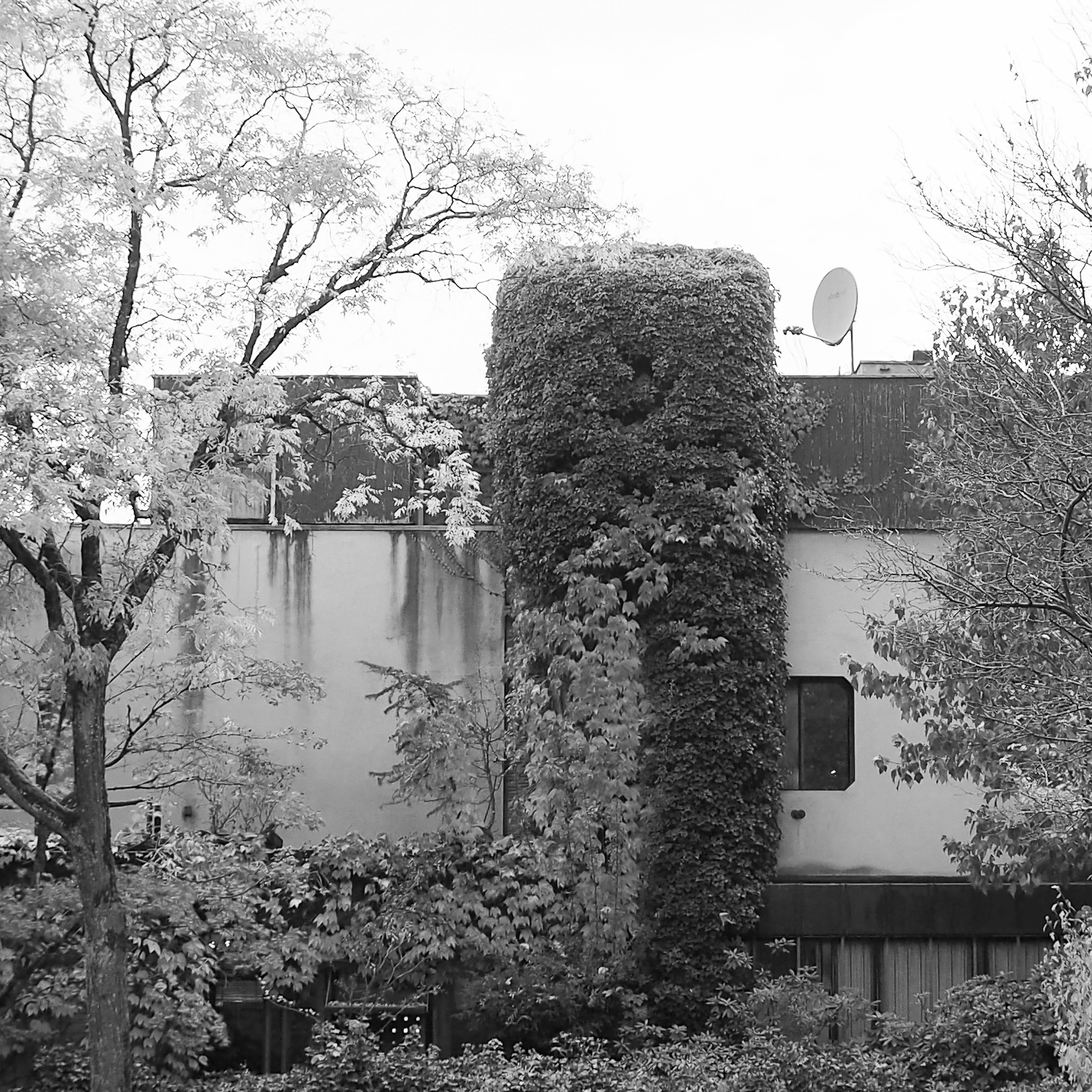 Villa Aurorastrasse 56