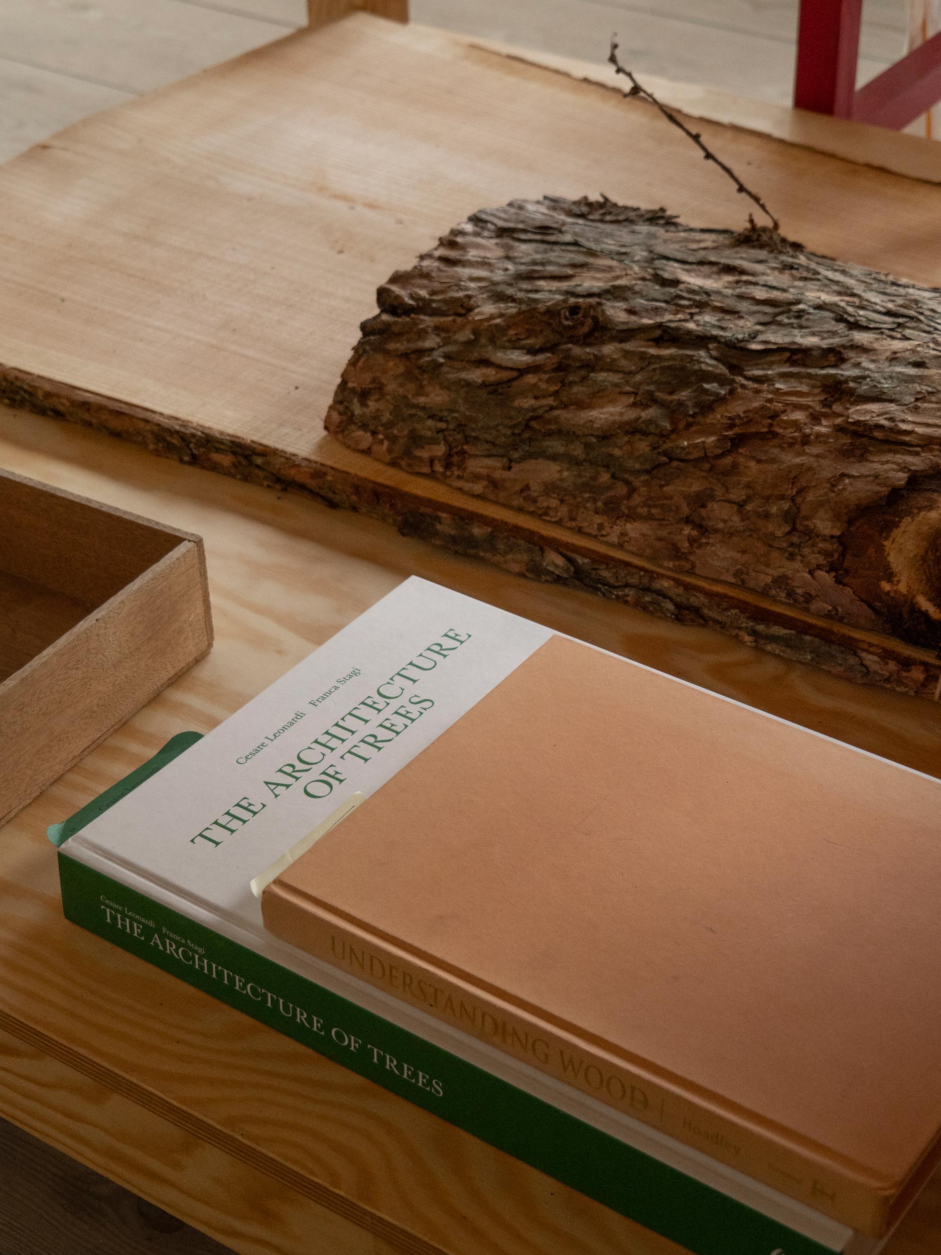 Archival Studies 3daysofdesign 2024 19