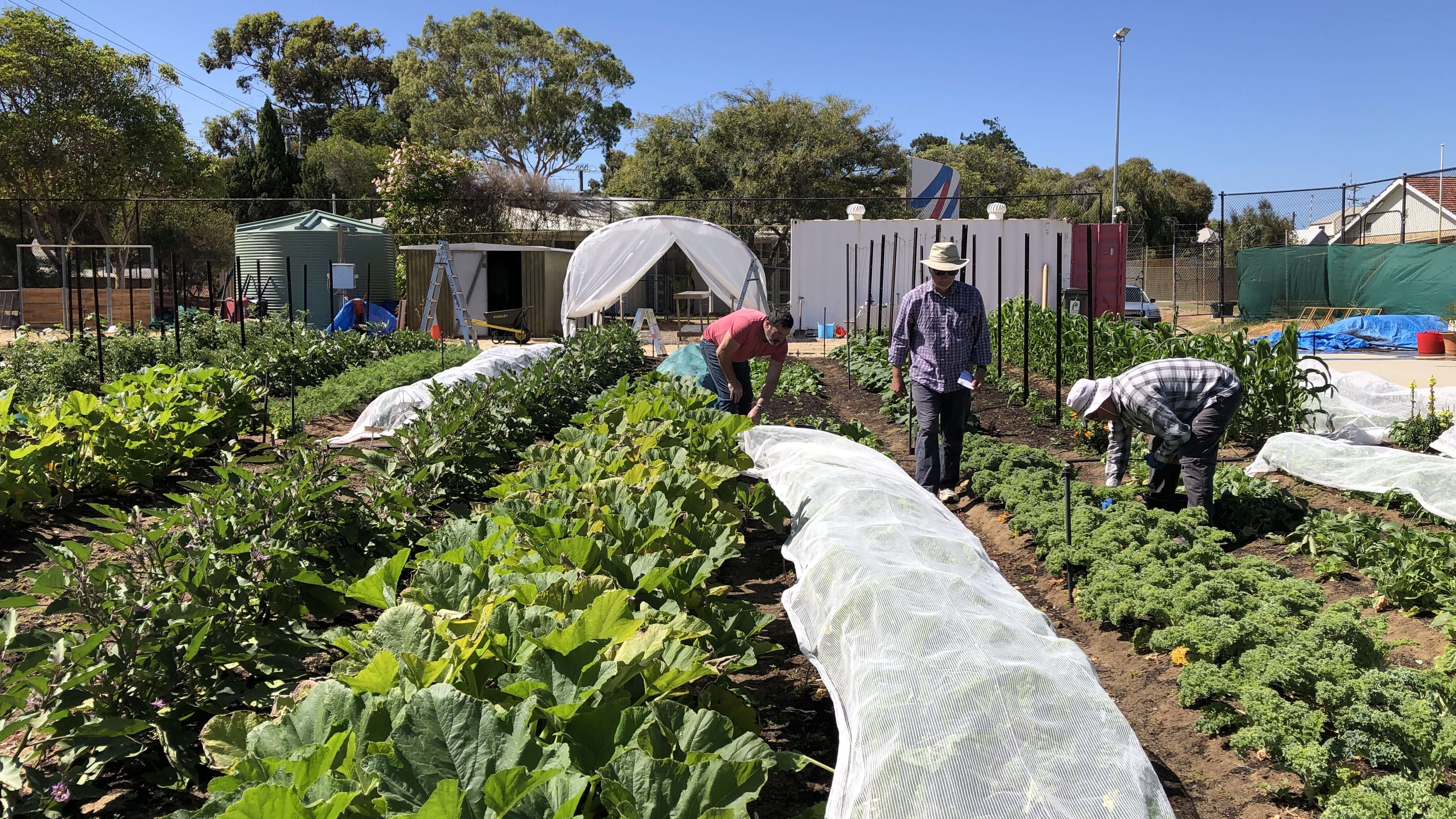 WA Urban Placemaking CF HF