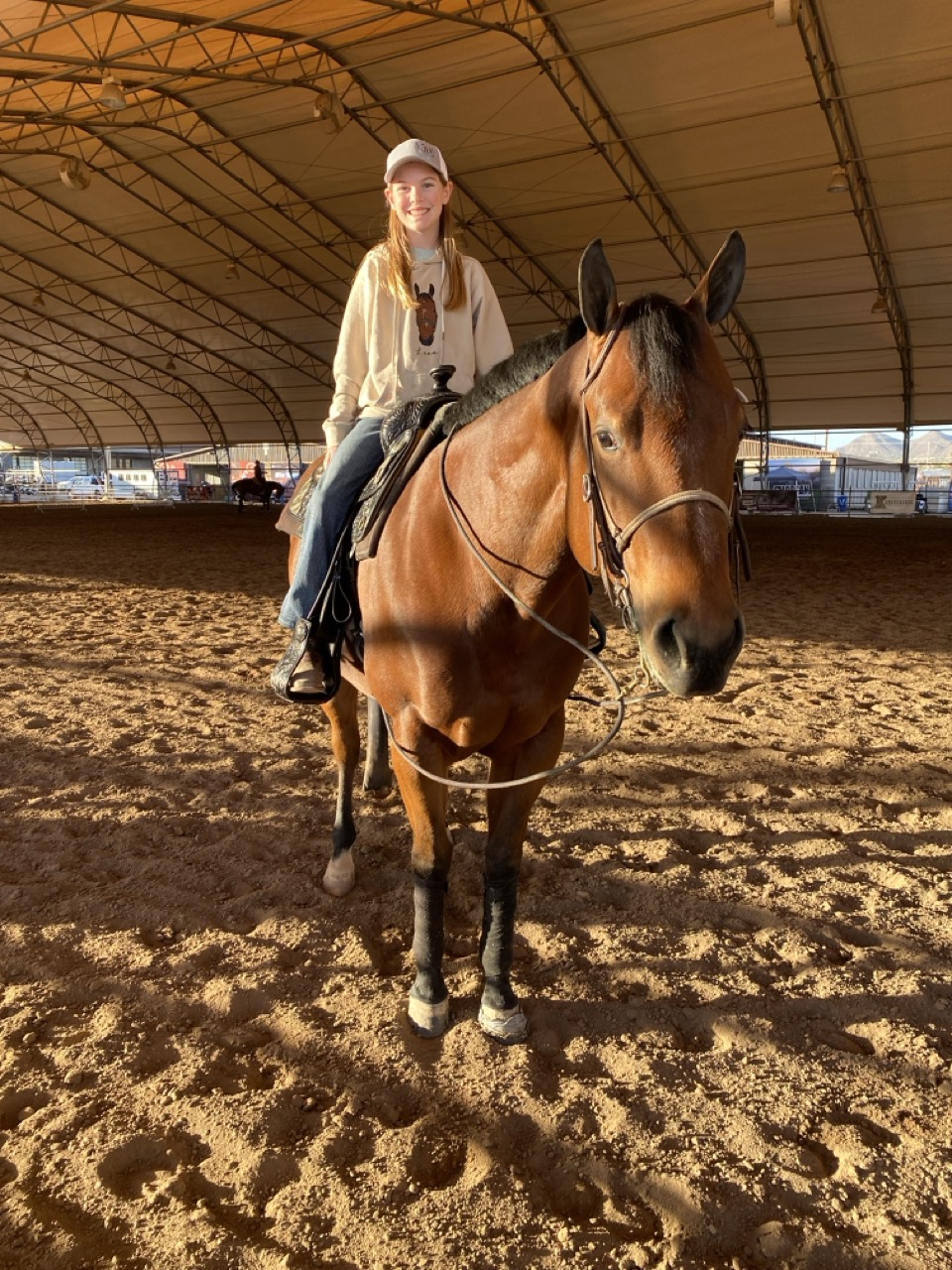 Bristol horse showing 6