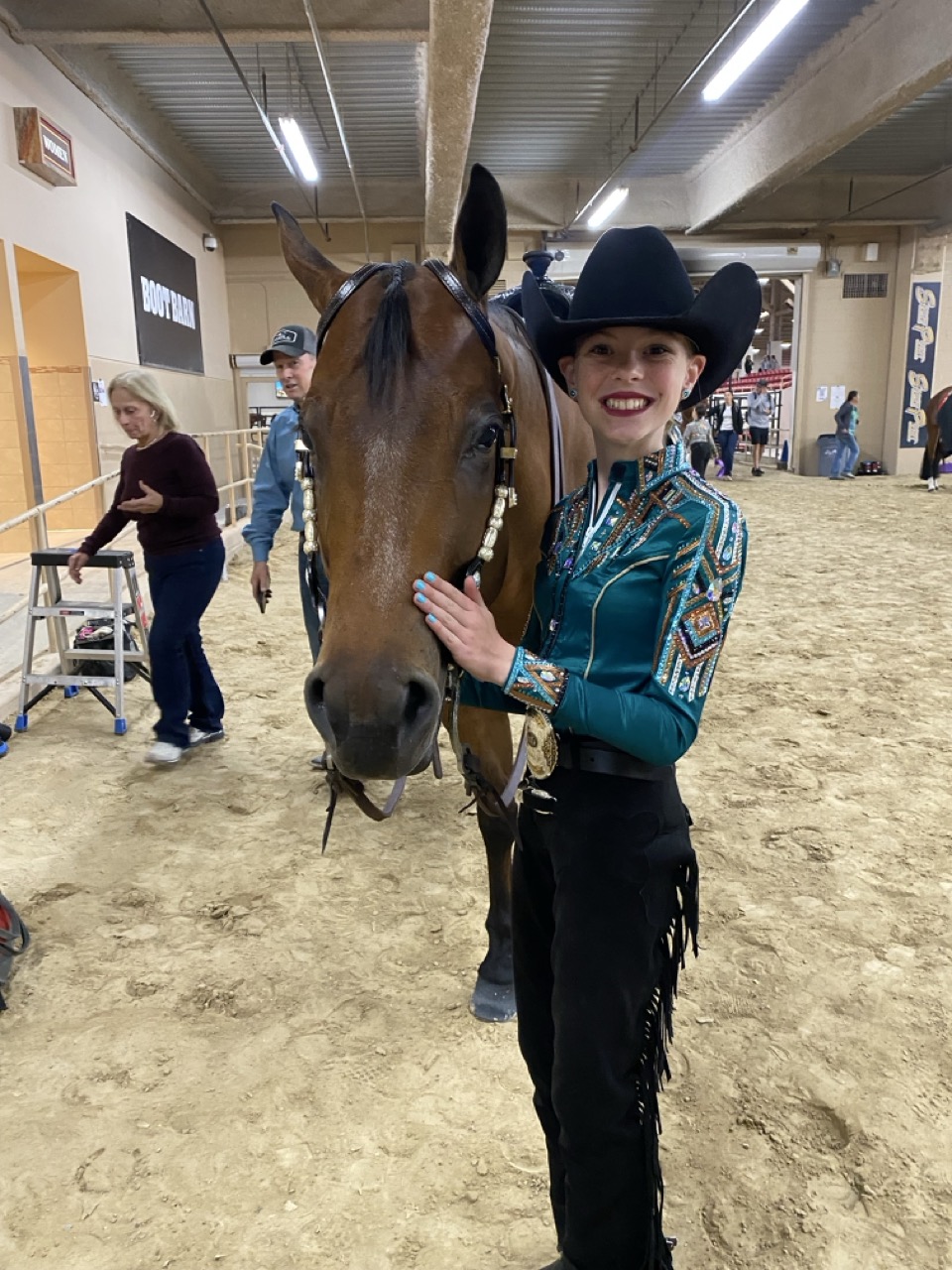 Bristol horse showing 1