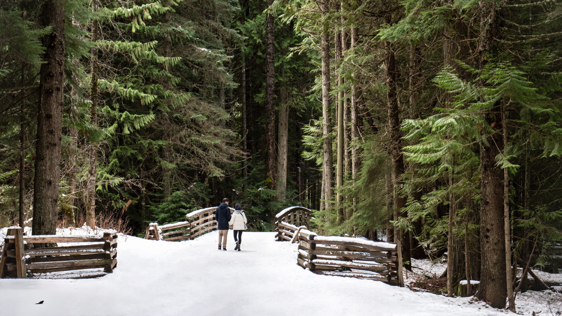 Four Seasons Whistler - Luxury ski hotel gallery image 12 showing alpine architecture, interior design, or mountain views