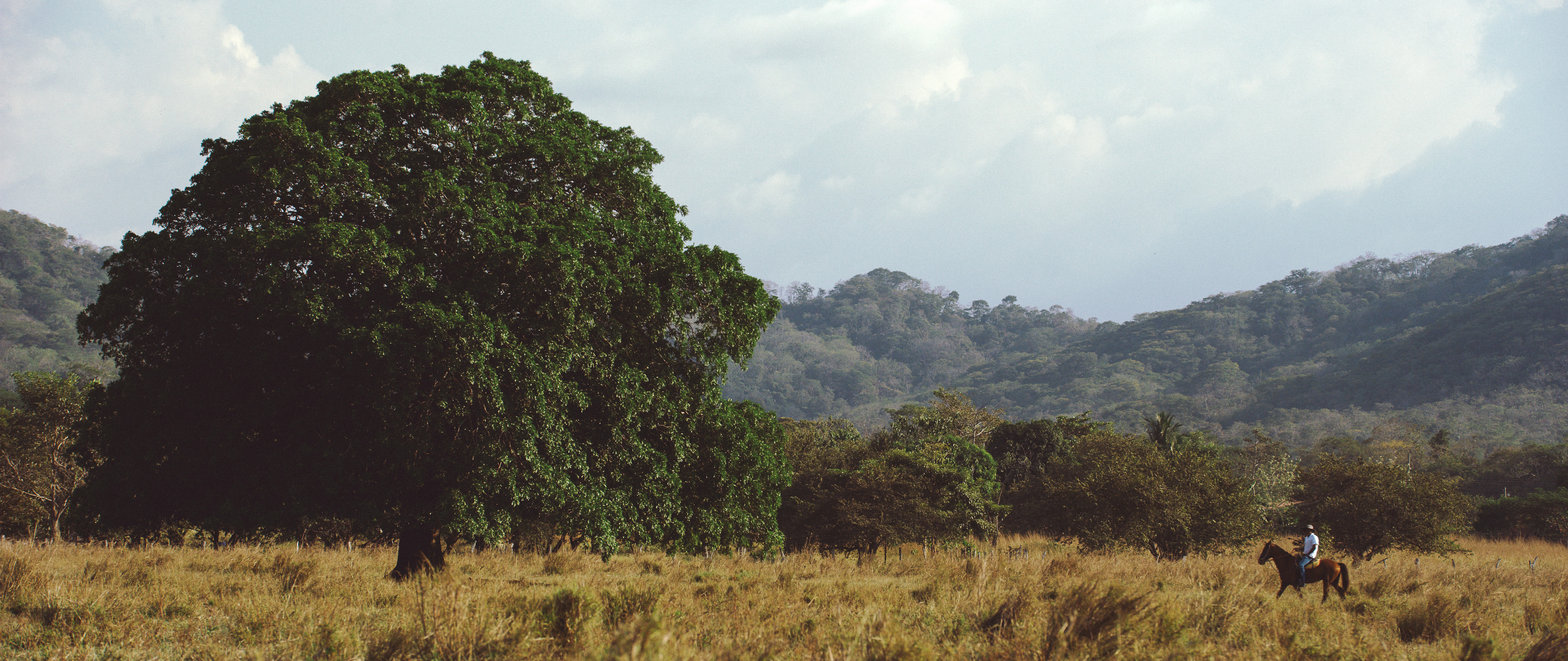 Real estate property located at Playa Minas, Cabo Velas, Playa Minas, Guanacaste, Costa Rica, Costa Rica