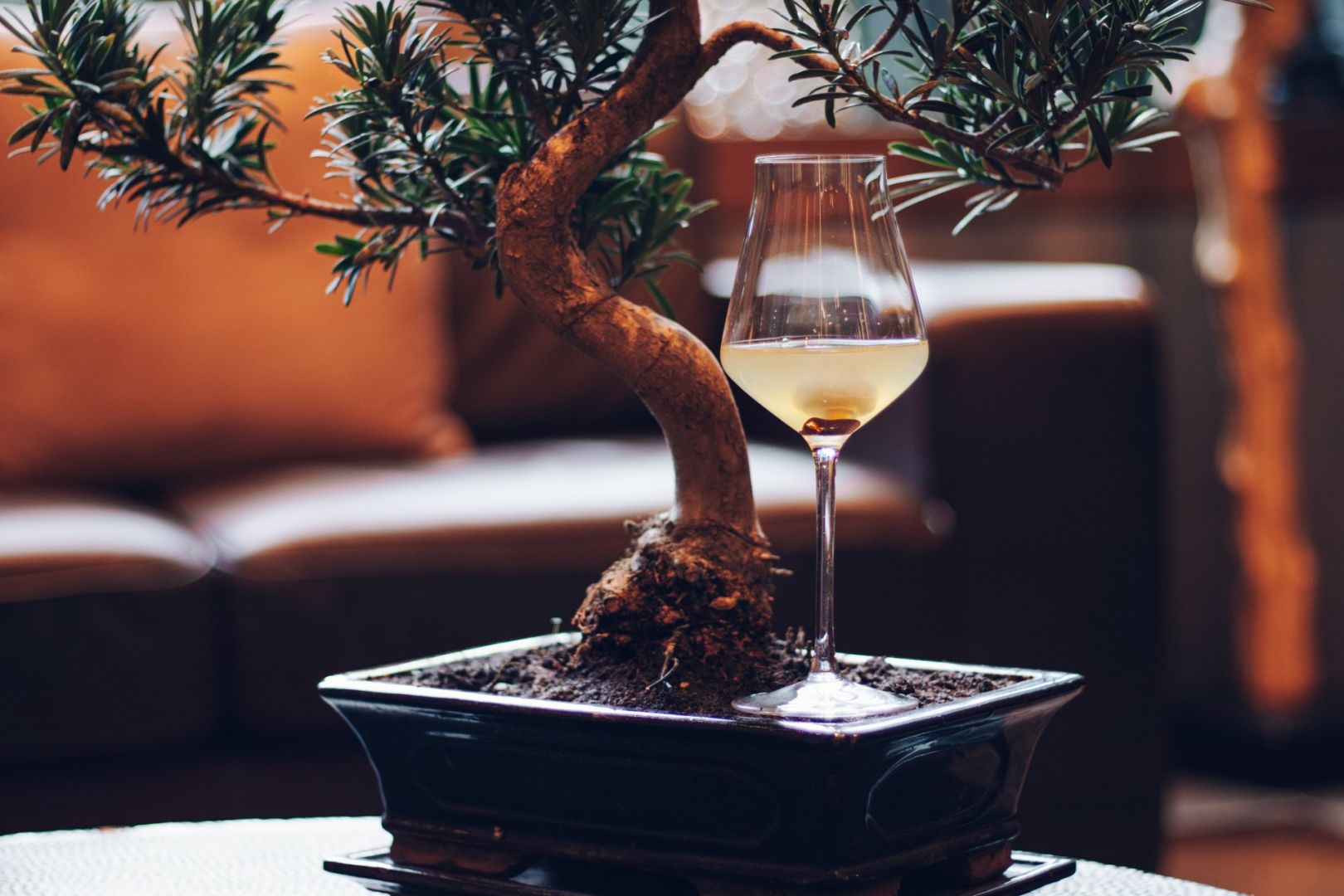 The Chedi Andermatt - Luxury ski hotel gallery image 9 showing alpine architecture, interior design, or mountain views