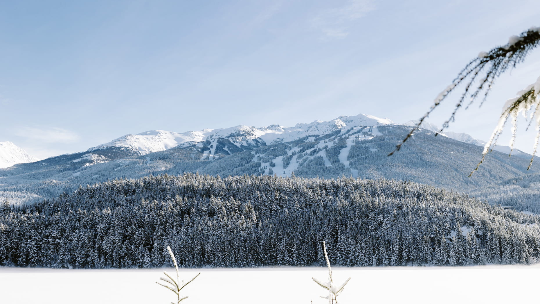 Four Seasons Whistler - Luxury ski hotel gallery image 9 showing alpine architecture, interior design, or mountain views