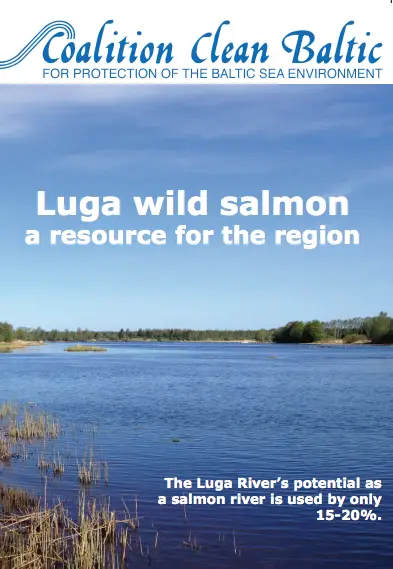 Luga Salmon River (fact sheet)
