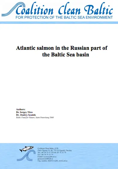 Atlantic salmon in the Russian part of the Baltic Sea Basin