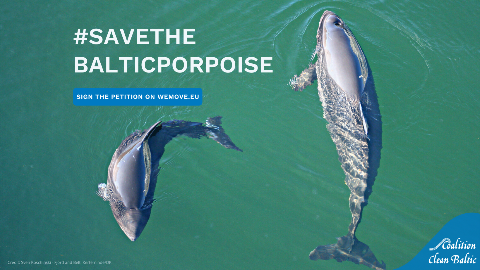#SaveTheBalticPorpoise - CCB Petition Handover to the EU Commissioner and press event