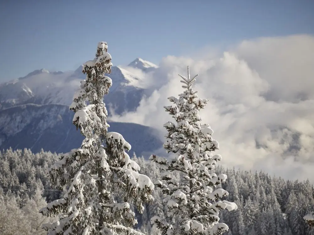 LeCrans Hotel & Spa - Luxury ski hotel gallery image 9 showing alpine architecture, interior design, or mountain views