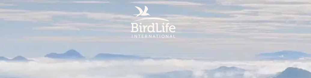 Webinars for NGOs on Offshore Wind and Nature