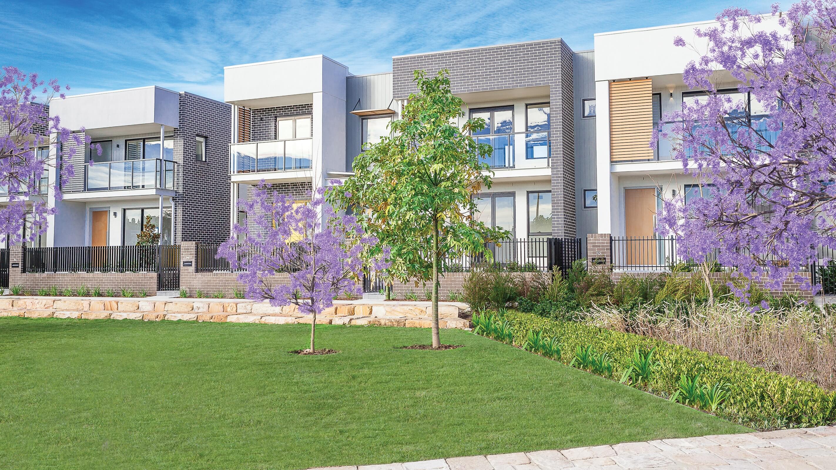 NSW Urban Masterplan CF