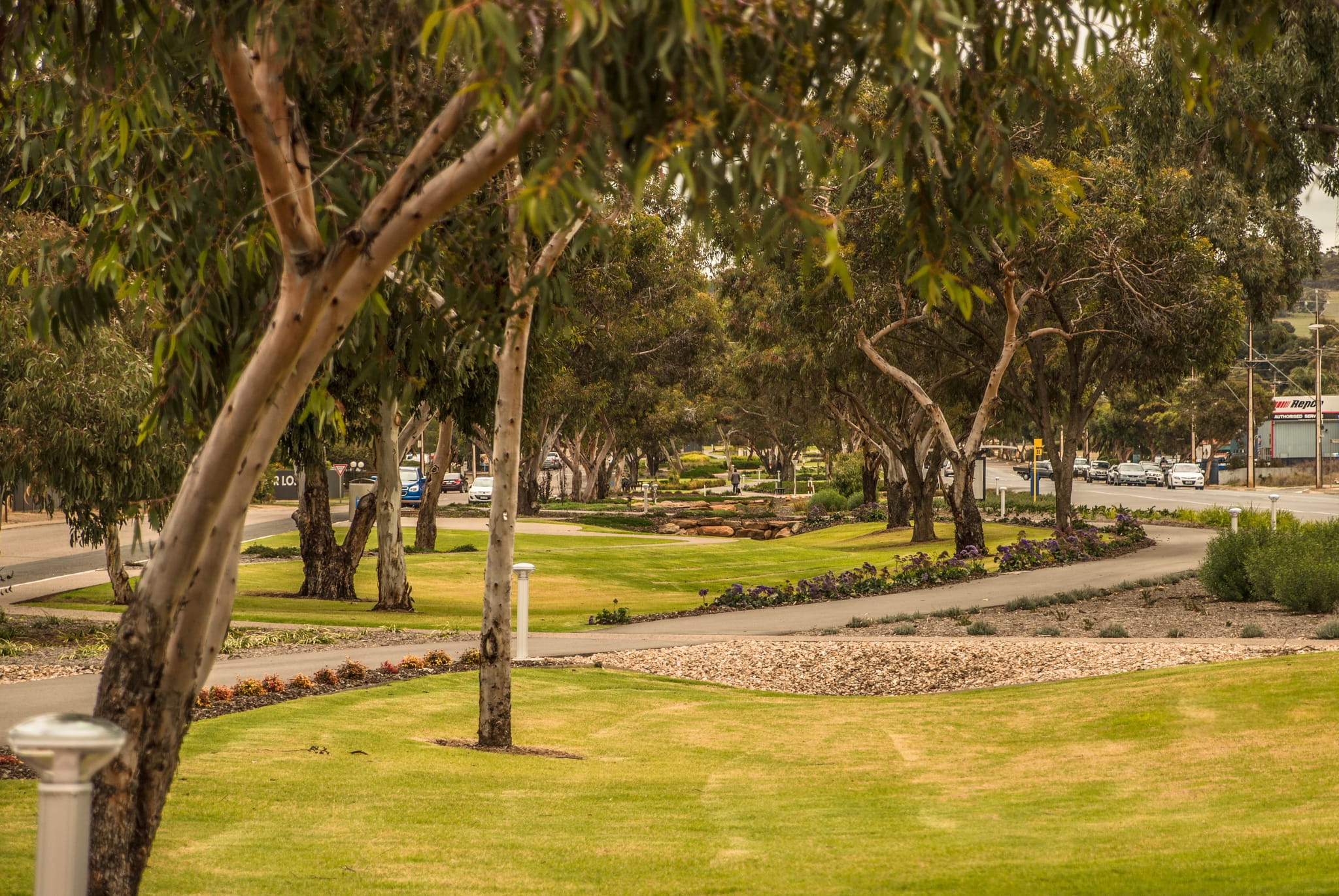 SA Rural LGI Destinations POS CF