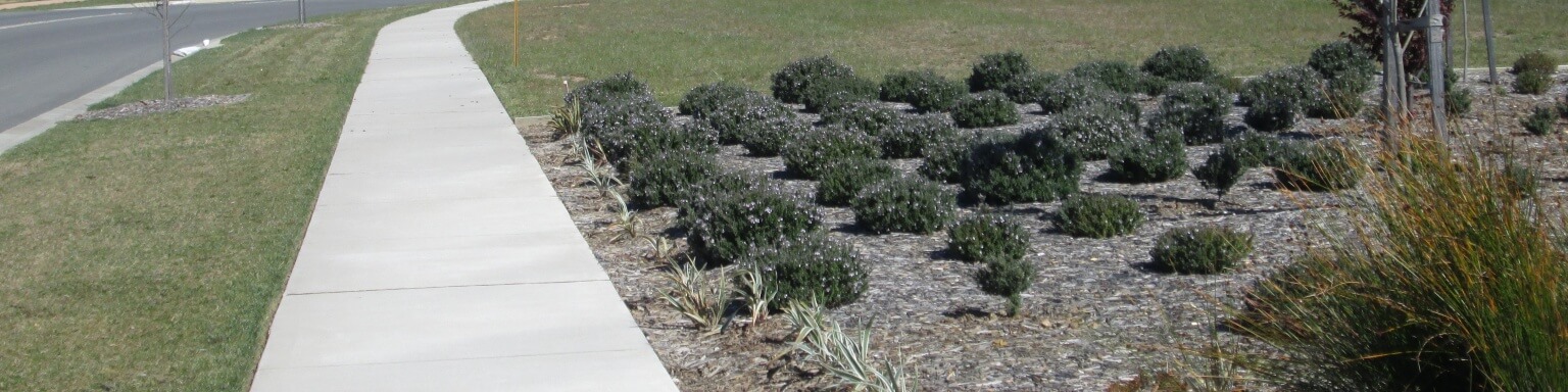 NSW Regional Masterplan HD WLAA