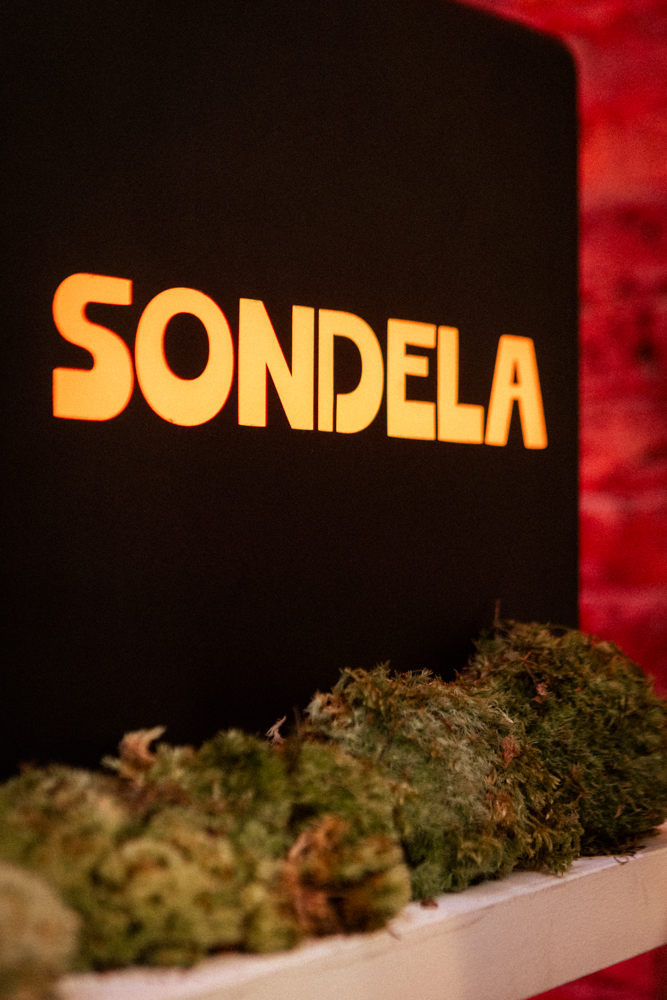 Xonotu X Sondela LFW Launch Party gallery image 4
