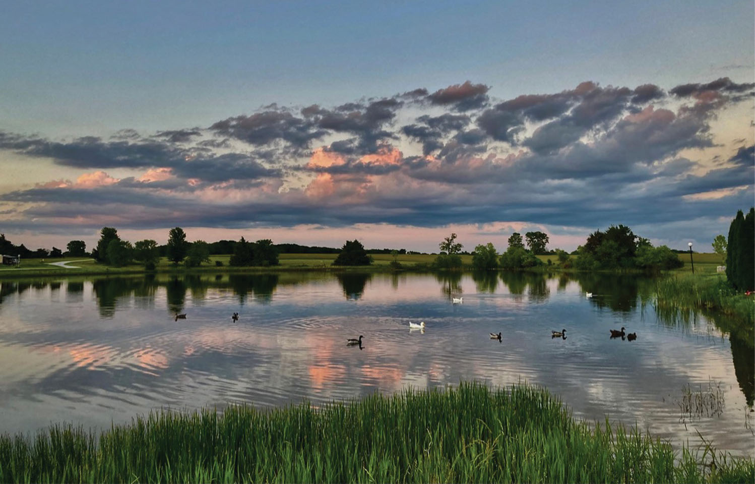 Bring your friends to Serenity Valley Winery to drink wine in a tranquil atmosphere in Columbia, MO.