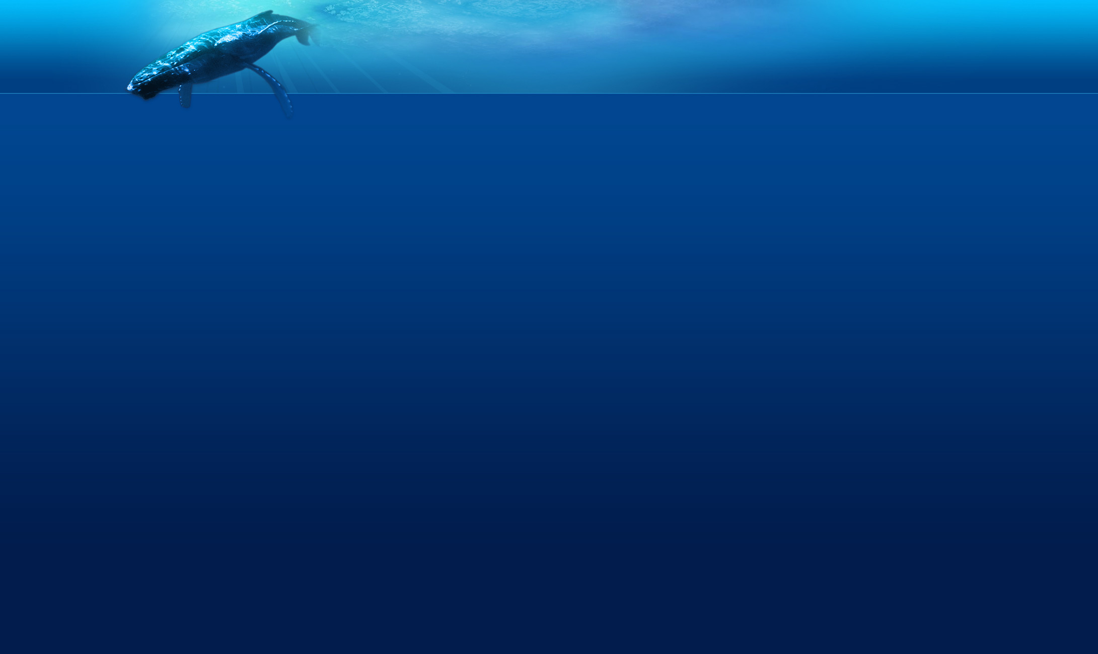 Webinar - Marine Mammals and Vessel Noise