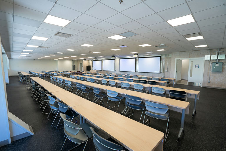 LIFE 2302 - Image Gallery 2