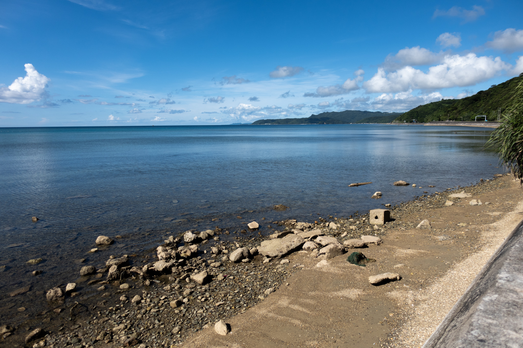 Inamine Camp Spot - Photo 1