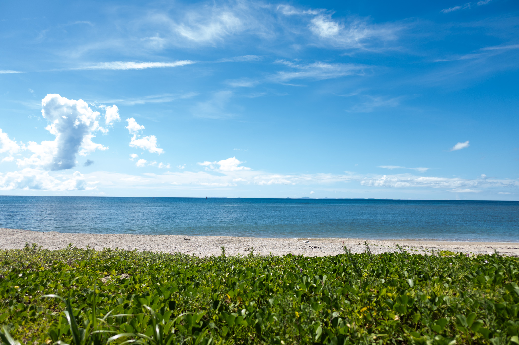 Hentona Camp Spot - Photo 1