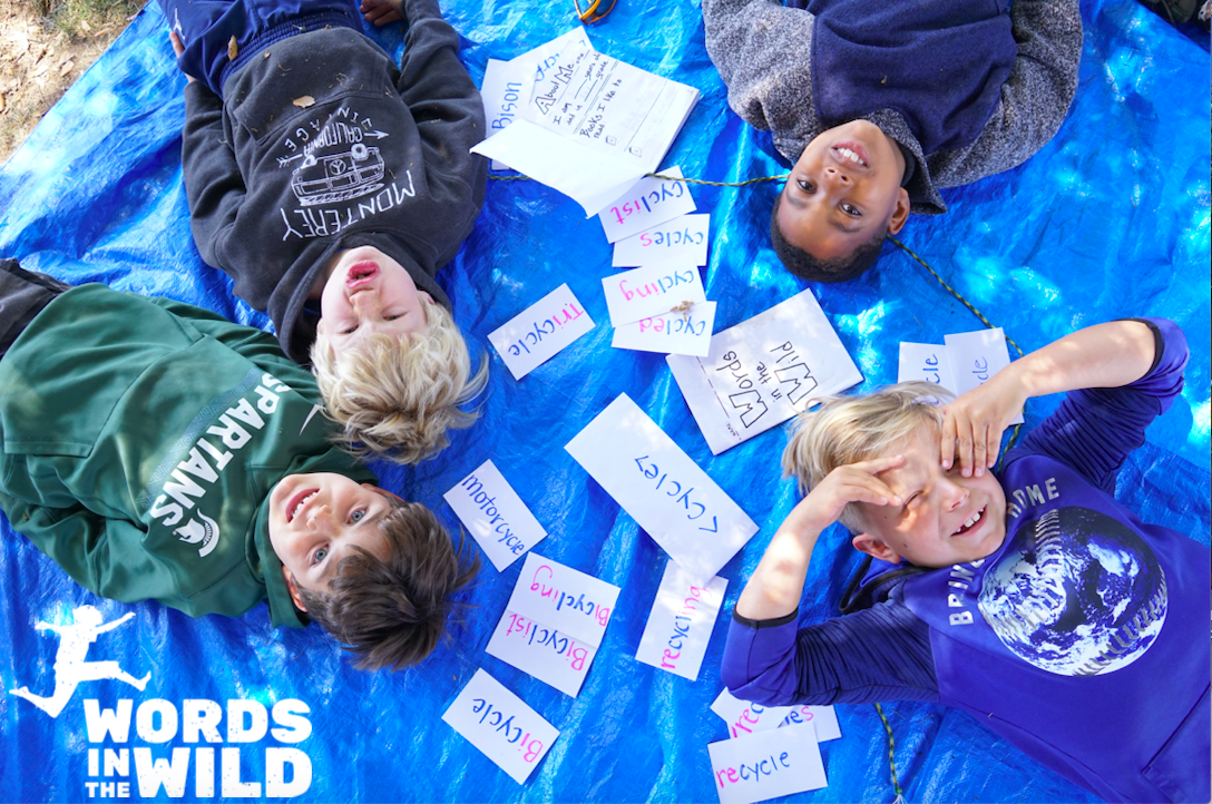 Words in the Wild Logo