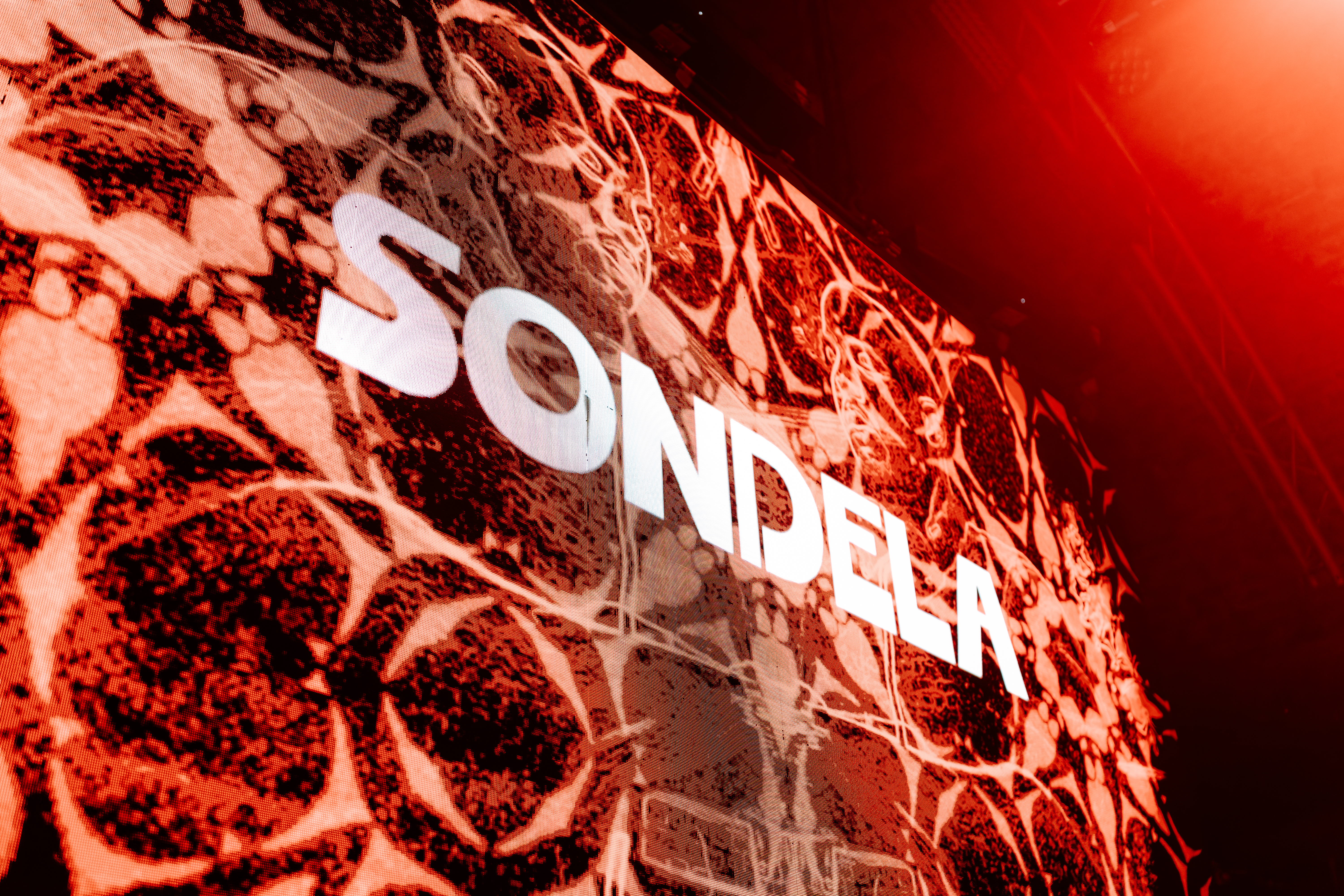 Sondela London: Dlala Thukzin, Lemon & Herb photo 39